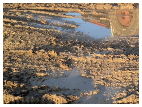 The muddy road through the barnyard. 