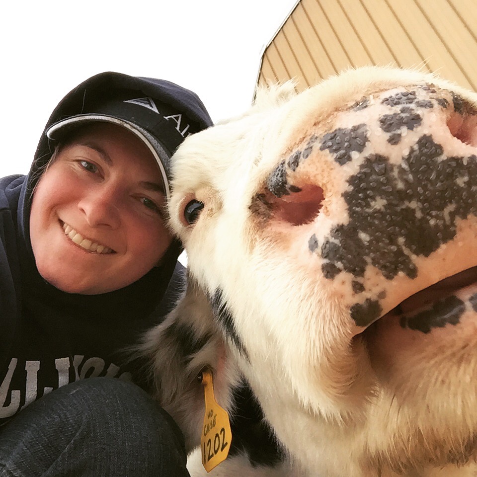 cow selfie
